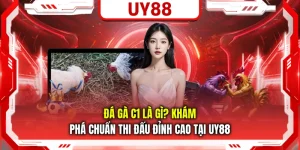 Đá Gà C1 Là Gì? Khám Phá Chuẩn Thi Đấu Đỉnh Cao Tại UY88